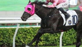 Chancheng set for Glorious revenge at Sha Tin