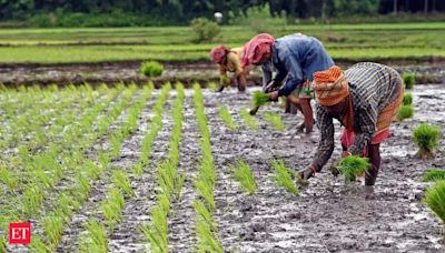 Budget 2024: A bid to woo farmers, or a dry spell? - The Economic Times