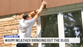 Best practices for staying bug free in high heat