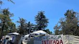 UC Davis pro-Palestine encampment contends with counterprotesters, spokesperson says