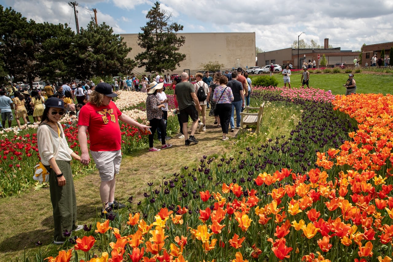 See photos as the 95th Tulip Time Festival kicks off in Holland