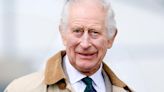 Rei Charles III escolhe presente especial para o neto Archie, diz especialista