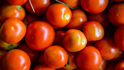 Heavy Rains In Hills Push Tomato Price In Delhi, Price Soar To Rs 75-85 Per Kg