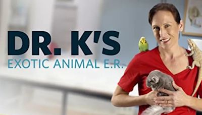 Dr. K’s Exotic Animal ER Season 7 Streaming: Watch & Stream Online via Disney Plus & Hulu