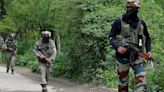 Security Forces Foil Infiltration Bid Along LoC In Jammu And Kashmir's Kupwara