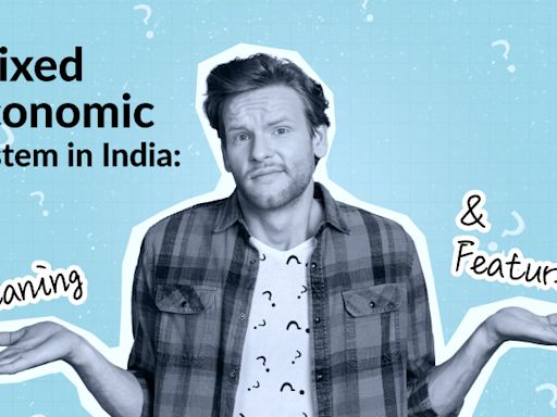 Mixed Economic System in India: Meaning & Features