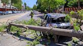 Cae un árbol en el polígono de San Benito y destroza un coche