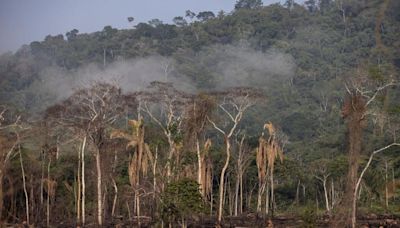 Degradación de Amazonía crece entre disputas laborales y El Niño