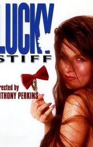 Lucky Stiff (1988 film)