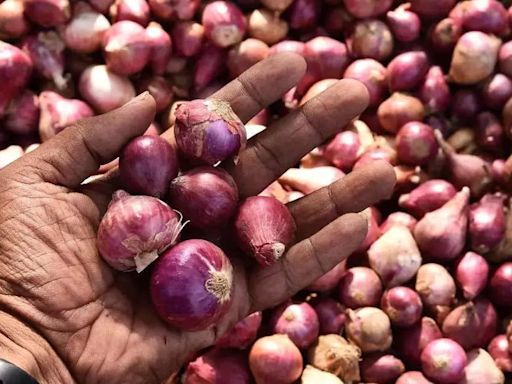 Onion supply comfortable in domestic market, retail prices stabilising: Govt