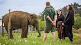 Win a VIP Elephant Encounter experience at Woburn Safari Park
