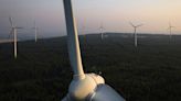 Poland Curbs Output From Wind and Solar Farms Amid Oversupply