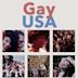 Gay USA (film)