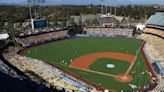 Firebomber, Would-be Dodger Stadium Attacker Gets Nine Years