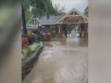 ‘We were stuck’: Guests wade through water as Dollywood soaked by flash flood