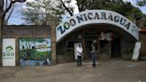 El principal zoológico de Nicaragua pasará a ser administrado por el Gobierno