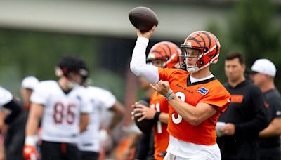 Bengals fans will like USA Today's 2024 NFL record projections