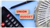 Budget'24-25 highlights policy continuity and focus on climate change - Times of India