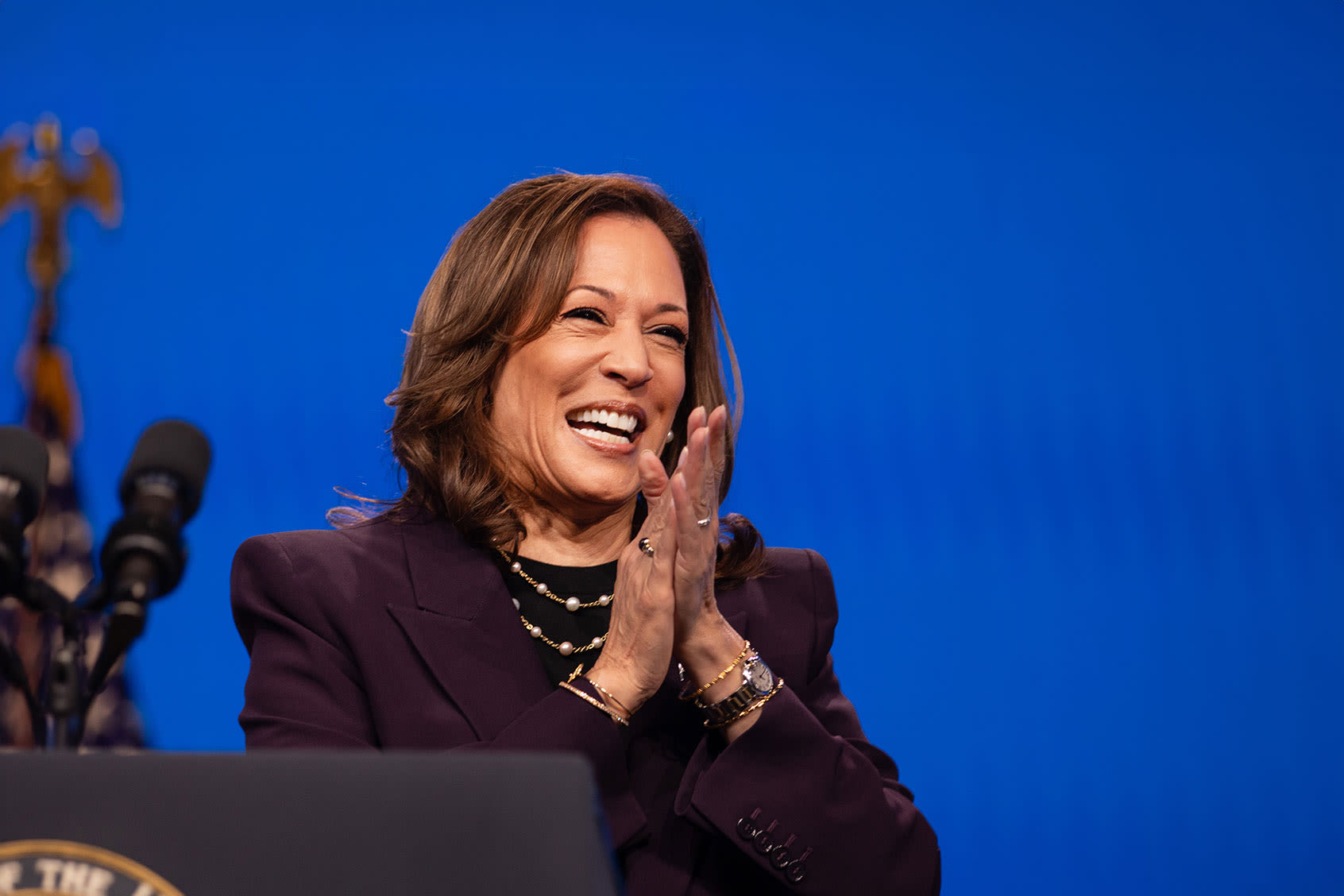 Kamala Harris breaks records with massive, celebrity-filled Zoom fundraisers