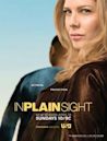 In Plain Sight – In der Schusslinie