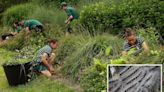 Wimbledon head gardener reveals how teams tackle invasive caterpillar to protect players and fans