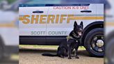 Sheriff after K9 dies: Spike, we’ll take the watch from here
