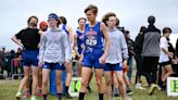 Get an overview on Greater Lansing's high school boys cross country teams