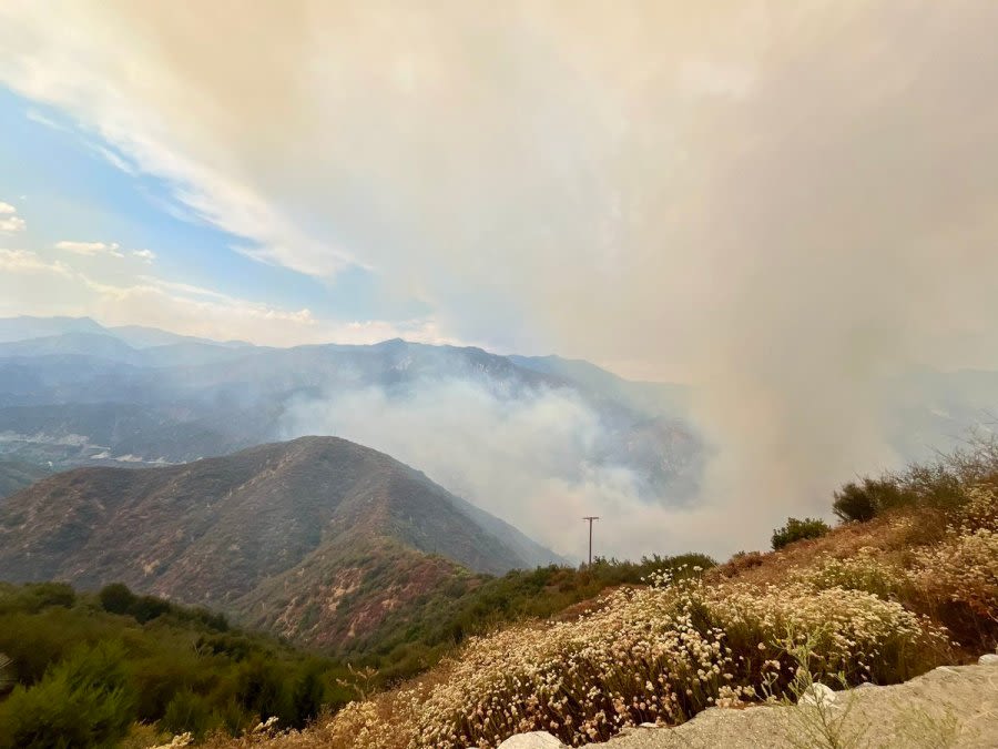 Bridge Fire in San Gabriel Canyon explodes to 3,000 acres still 0% contained