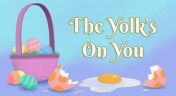7. The Yolk's on You