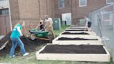 Milwaukee Victory Garden Blitz is back, ready to bring gardens to backyards. But it needs your help.