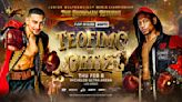 How to watch Teofimo Lopez vs Jamaine Ortiz for free