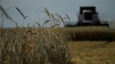 EU States Agree 'Prohibitive' Tariffs On Russia Grain Imports