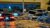 Dubai property boss says floods were overexaggerated: ‘Things like that happen in Miami regularly'