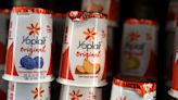 General Mills explores sale of $2 billion-plus yogurt business in North America, Reuters sources say