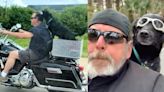 Dog loves riding on owner's Harley-Davidson - and has own seat and goggles