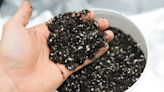 How to Add Perlite to Your Soil (and When You Should)