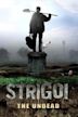 Strigoi (film)