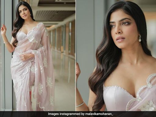 Malavika Mohanan's Pastel Pink Saree Matched Perfectly With Her Charming Elegance