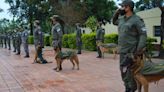 Crearon el Registro Nacional de Animales de Apoyo de las fuerzas de seguridad