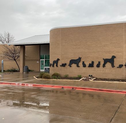 arlington animal shelter