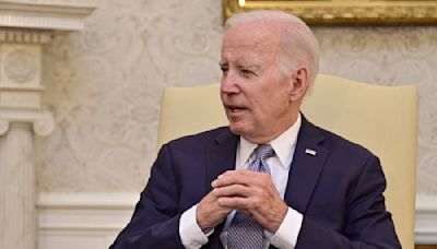 Joe Biden confirma su candidatura para las elecciones de Estados Unidos