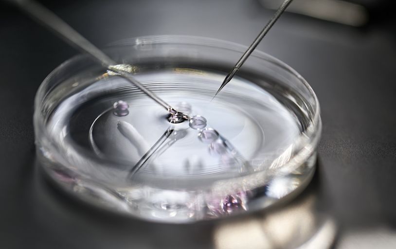 Couples allege IVF provider destroyed their embryos in toxic solution: Lawsuit