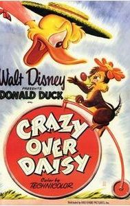 Crazy Over Daisy