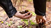 Foraging on public lands is becoming more limited - The Boston Globe