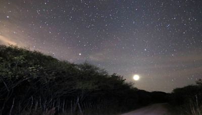 Lluvia de Estrellas Eta Acuáridas: ¿Cuál será el mejor día para admirarla en el firmamento?