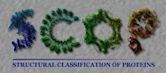 Structural Classification of Proteins database