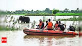 Assam Floods: Death Toll Reaches 66 Since May | Guwahati News - Times of India