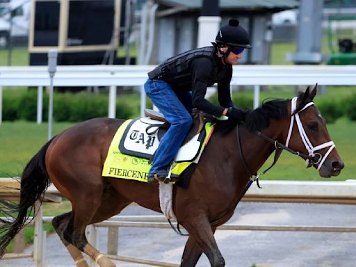 Kentucky Derby 2024 Contenders: Final Vegas Odds and Projections for Top Horses