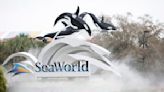SeaWorld offering veterans and their families free one-day park ticket