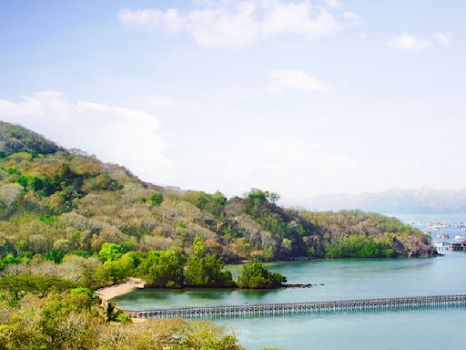 This ‘House of the Dragon’-Inspired Adventure Will Take You to Visit Komodo Dragons in Indonesia